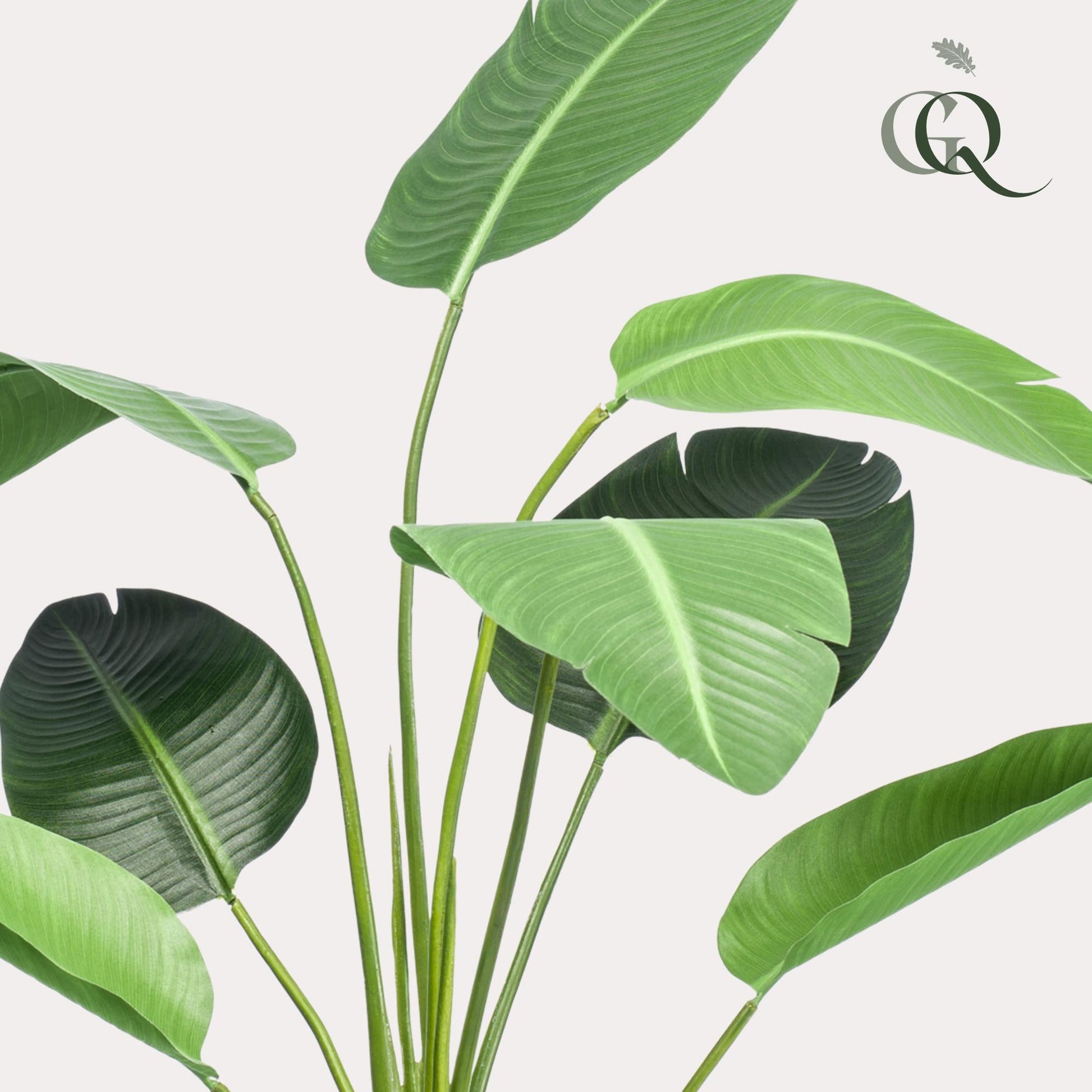 Kunstplant - Spathiphyllum - Lepelplant - 90Cm - Bivakshop