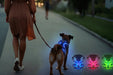 LED Glowing Luminous Hondenharnas - USB Oplaadbaar - Bivakshop