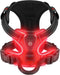 LED Glowing Luminous Hondenharnas - USB Oplaadbaar - Bivakshop