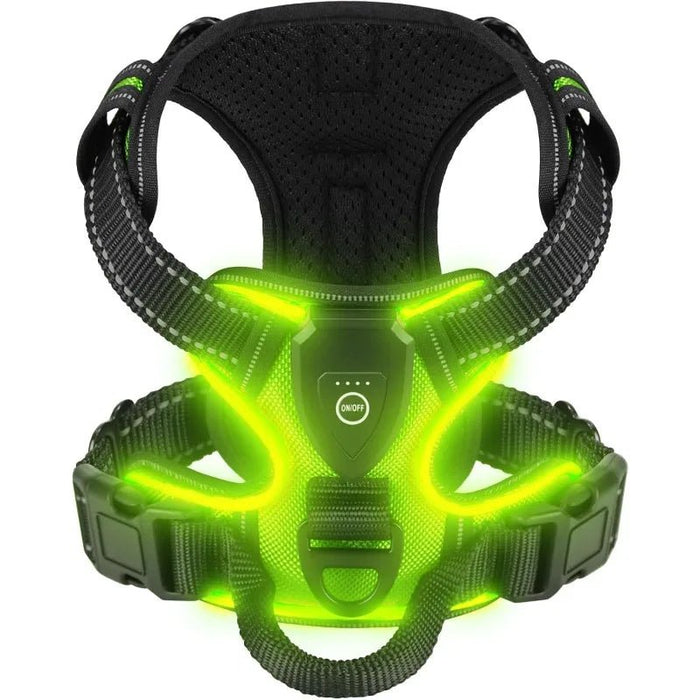 LED Glowing Luminous Hondenharnas - USB Oplaadbaar - Bivakshop