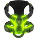 LED Glowing Luminous Hondenharnas - USB Oplaadbaar - Bivakshop
