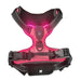 LED Glowing Luminous Hondenharnas - USB Oplaadbaar - Bivakshop