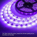 LED strip verlichting met batterijbox - UV, paars 5V USB backlight voor TV - Bivakshop