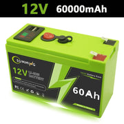 LiFePO4 accu 12V krachtige energieopslag met BMS
