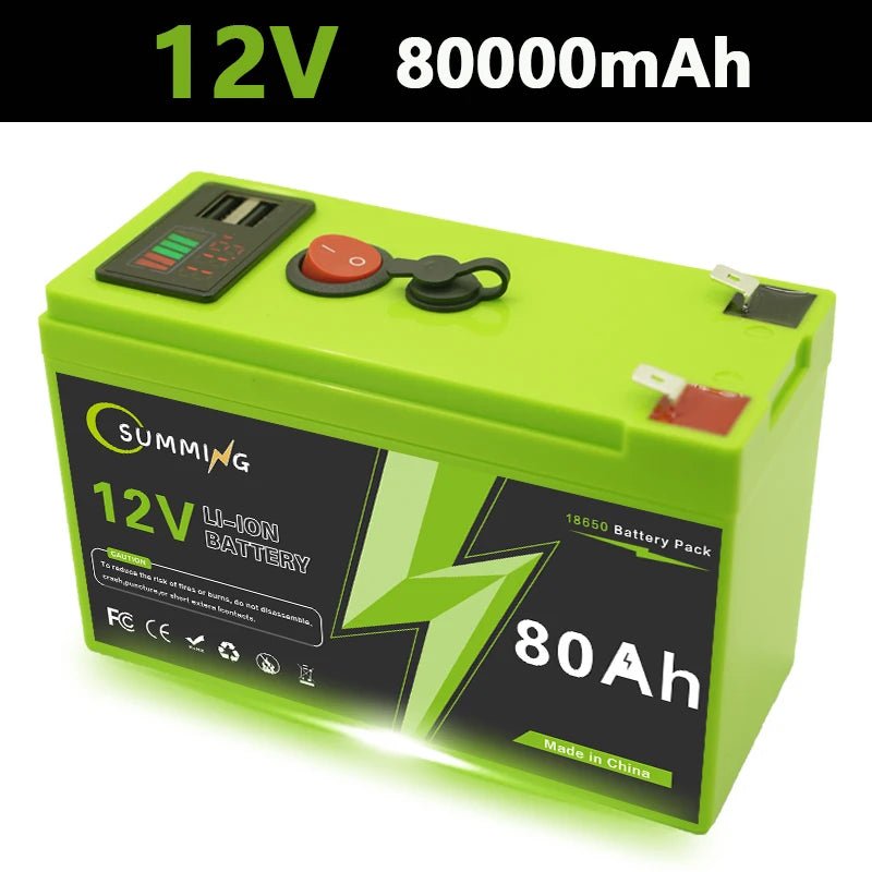 LiFePO4 accu 12V krachtige energieopslag met BMS