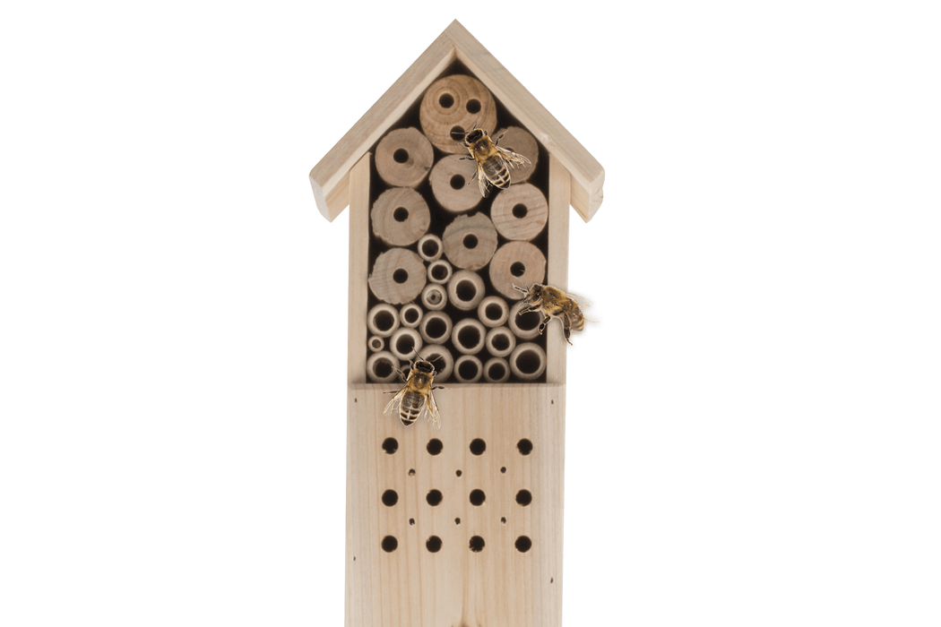 Lifetime Garden - Insectenhotel – 160 x 14,5 x 10 cm – Duurzaam en Natuurlijke - Bivakshop