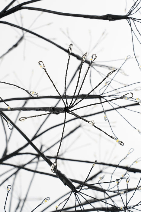 Luca Lighting – Sfeervolle Lichtboom Zwart (150 cm) – 1500 Warm Witte LED’s - Bivakshop