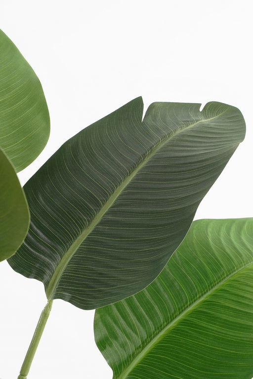 Mica Decorations – Banana Tree – Realistisch Designobject – 180 cm - Bivakshop