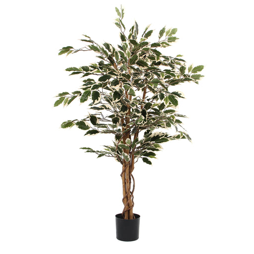 Mica Decorations – Kunst Ficus Variegata – Realistisch & Onderhoudsvrij – H110 cm - Bivakshop