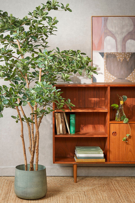 Mica Decorations – Kunst olijfboom Oriental – Realistische uitstraling – H. 183 cm - Bivakshop