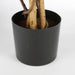 Mica Decorations - Maple Red In Plastic Pot - H150Xd80Cm - Bivakshop