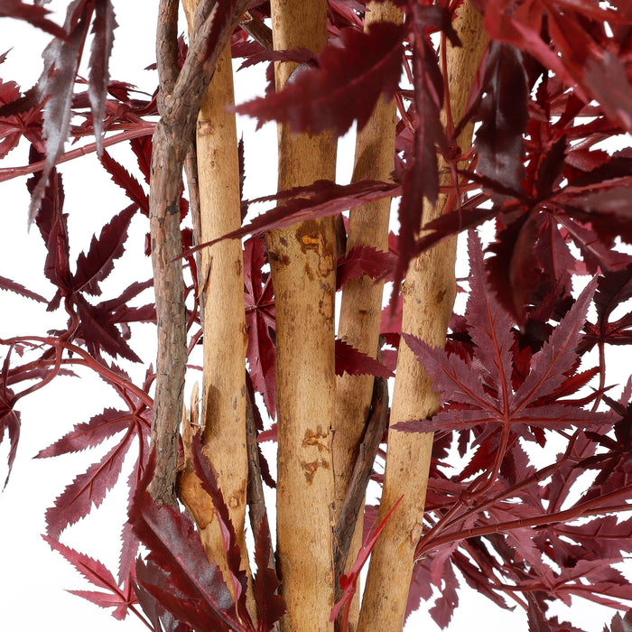 Mica Decorations - Maple Red In Plastic Pot - H150Xd80Cm - Bivakshop