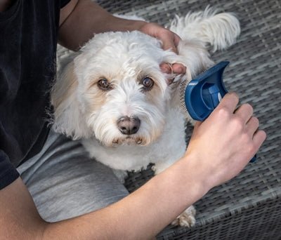 Mikki - Doodle Grooming Kit - Kam En Slickerborstel - Bivakshop