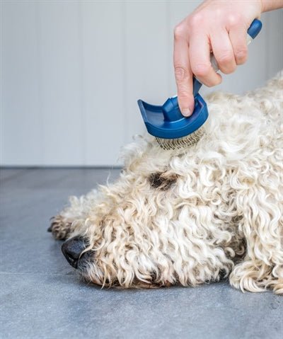 Mikki - Doodle Grooming Kit - Kam En Slickerborstel - Bivakshop
