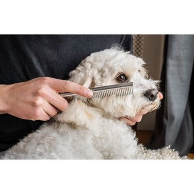 Mikki - Doodle Kam - 19 cm - Vachtverzorging - Bivakshop