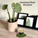 Monstera Onderzetter – 3D Geprint – Magnetisch – Groene Bladdecoratie – Indoor & Home Decor - Bivakshop