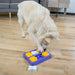 Nina Ottosson - Dog Brick Purple - Interactieve Hondenpuzzel - Niveau 2 (22x17x5 cm) - Bivakshop