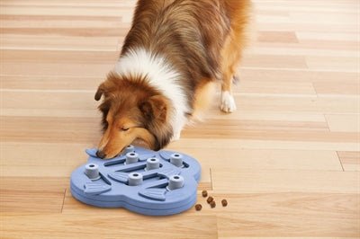 Nina Ottosson - Dog Hide N Slide Composiet - Interactieve Hondenpuzzel - Niveau 2 (33x33x5 cm) - Bivakshop