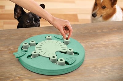 Nina Ottosson - Dog Worker Composiet - Interactieve Hondenpuzzel - Niveau 1 - 3 (34,5 cm) - Bivakshop