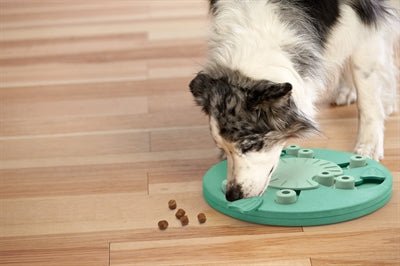 Nina Ottosson - Dog Worker Composiet - Interactieve Hondenpuzzel - Niveau 1 - 3 (34,5 cm) - Bivakshop