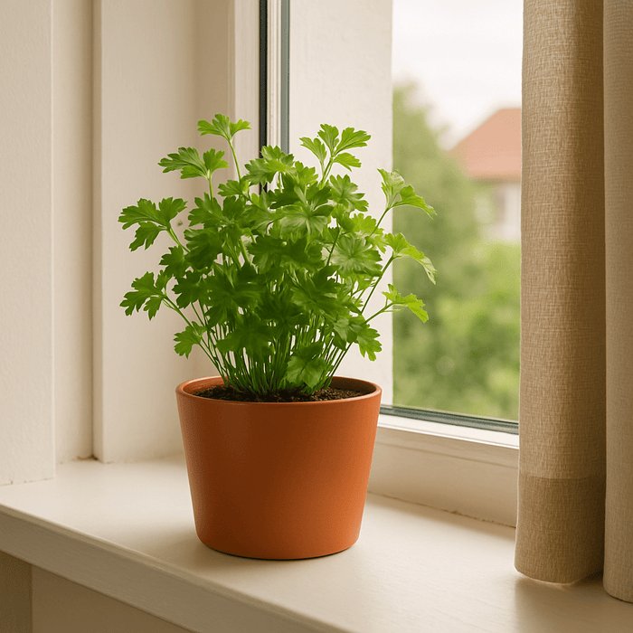 No Brand - Bloempot – 20x18 cm – Koper – Licht & Weerbestendig - Bivakshop