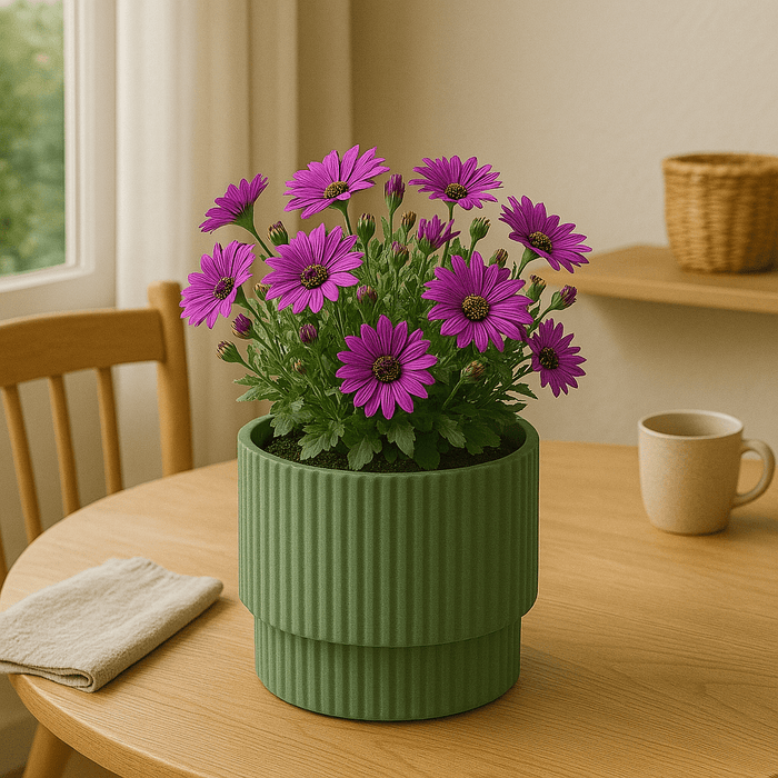 No Brand - Bloempot – 30x29 cm – Groen – Dubbele Binnen - & Buitenpot - Bivakshop