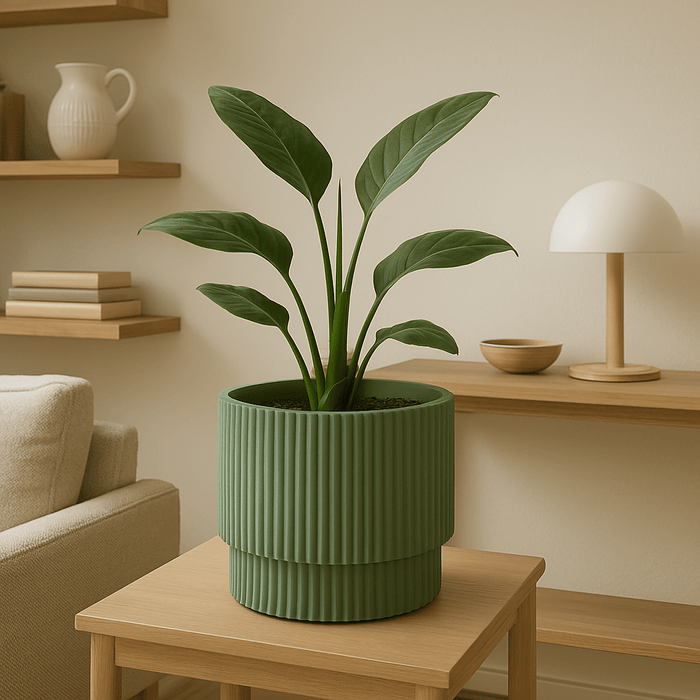 No Brand - Bloempot – 30x29 cm – Groen – Dubbele Binnen - & Buitenpot - Bivakshop