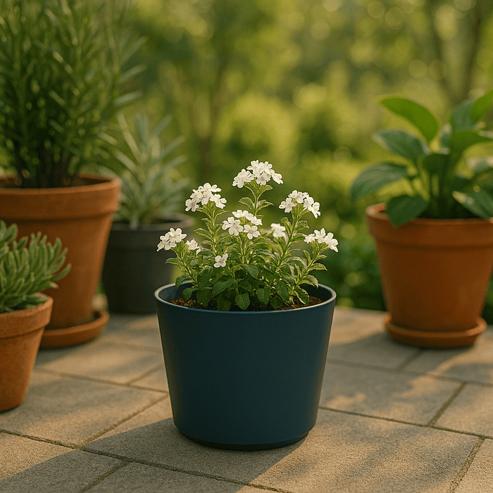 No Brand - Sierlijke Bloempot Grijs – Ø20 x 18 cm – Duurzaam & Weerbestendig – Binnen en Buiten - Bivakshop