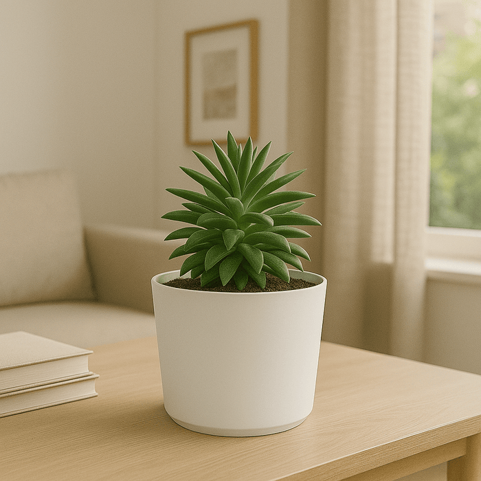 No Brand - Sierlijke Bloempot Wit – Ø20 x 18 cm – Duurzaam & Weerbestendig – Binnen en Buiten - Bivakshop
