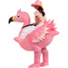 Opblaasbaar Flamingo Kostuum voor Volwassenen & Kinderen – Vrolijk Carnavalspak – Roze Mascotte Outfit - Bivakshop