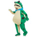Opblaasbaar Kikker Kostuum voor Volwassenen – Grappig Full Body Blow - Up Pak – Carnaval & Cosplay - Bivakshop