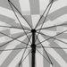 Parasol Osborn Zwart – H238 x Ø220 cm – Weerbestendig & Kantelbaar - Bivakshop