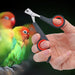 Pet nagelknipper - Dierenklauwschaar - Roestvrijstaal ergonomische handgreep - Bivakshop