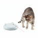 PetSafe - Zip - Automatisch Laserspeelgoed - Wit - Bivakshop