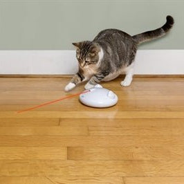 PetSafe - Zip - Automatisch Laserspeelgoed - Wit - Bivakshop