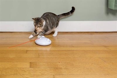 PetSafe - Zip - Automatisch Laserspeelgoed - Wit - Bivakshop