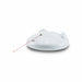 PetSafe - Zip - Automatisch Laserspeelgoed - Wit - Bivakshop
