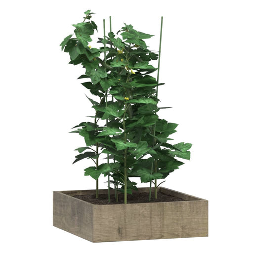 Plantensteunen – 3 Ringen – 75 cm – Staal Groen – Stevige Ondersteuning - Bivakshop