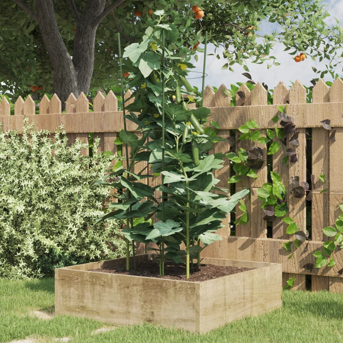 Plantensteunen – 3 Ringen – 75 cm – Staal Groen – Stevige Ondersteuning - Bivakshop