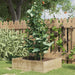 Plantensteunen – 3 Ringen – 75 cm – Staal Groen – Stevige Ondersteuning - Bivakshop