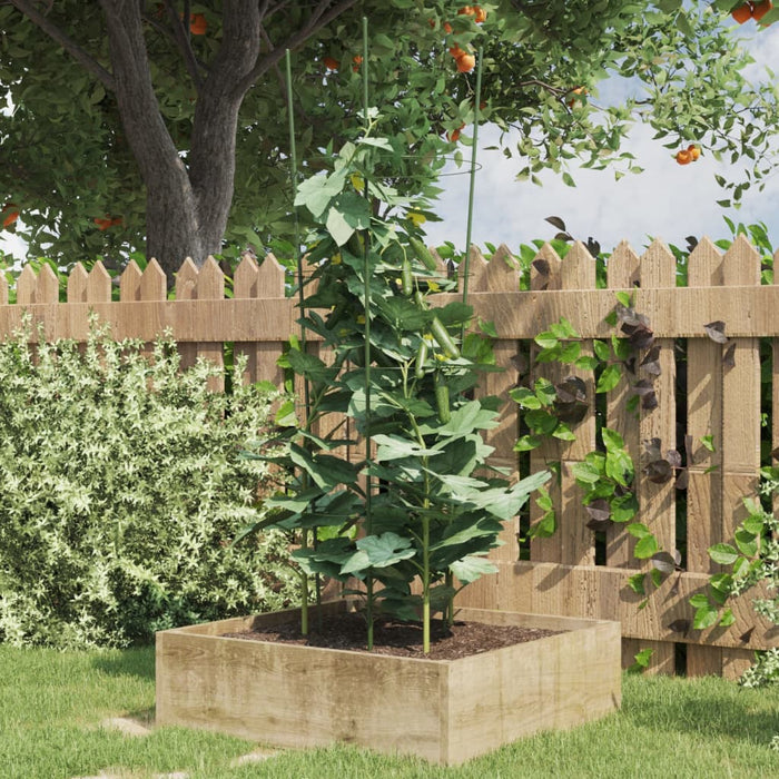 Plantensteunen – 3 Ringen – 75 cm – Staal Groen – Stevige Ondersteuning - Bivakshop