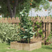 Plantensteunen – 3 Ringen – 75 cm – Staal Groen – Stevige Ondersteuning - Bivakshop
