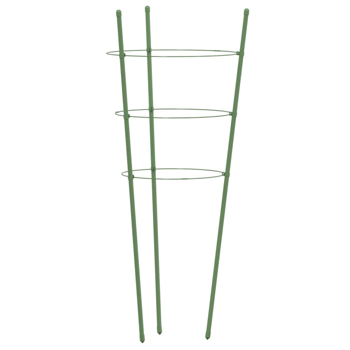 Plantensteunen – 3 Ringen – 75 cm – Staal Groen – Stevige Ondersteuning - Bivakshop