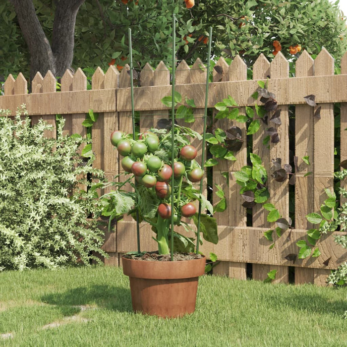 Plantensteunen – 3 Ringen – 75 cm – Staal Groen – Stevige Ondersteuning - Bivakshop