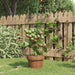 Plantensteunen – 3 Ringen – 75 cm – Staal Groen – Stevige Ondersteuning - Bivakshop