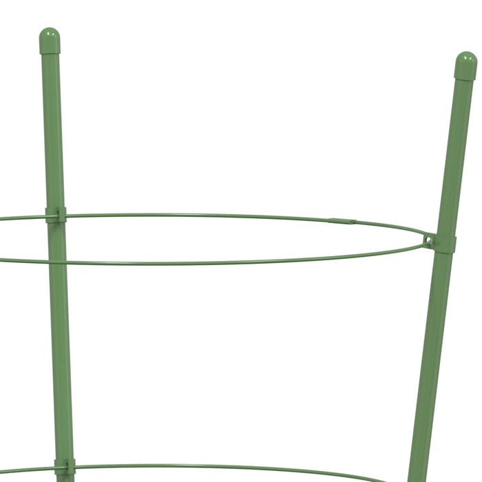 Plantensteunen – 3 Ringen – 75 cm – Staal Groen – Stevige Ondersteuning - Bivakshop