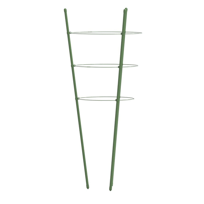 Plantensteunen – 3 Ringen – 75 cm – Staal Groen – Stevige Ondersteuning - Bivakshop