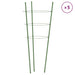 Plantensteunen – 3 Ringen – 75 cm – Staal Groen – Stevige Ondersteuning - Bivakshop