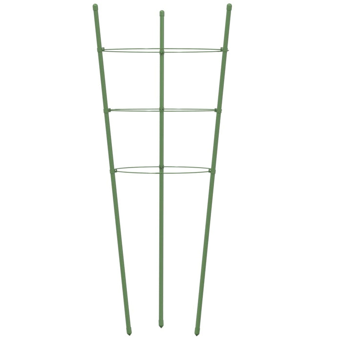 Plantensteunen – 3 Ringen – 75 cm – Staal Groen – Stevige Ondersteuning - Bivakshop