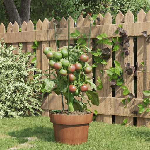 Plantensteunen – 3 Ringen – 75 cm – Staal Groen – Stevige Ondersteuning - Bivakshop